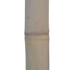 Tronçon naturel de bambou sec, beige Ø 4 x L. 200 cm